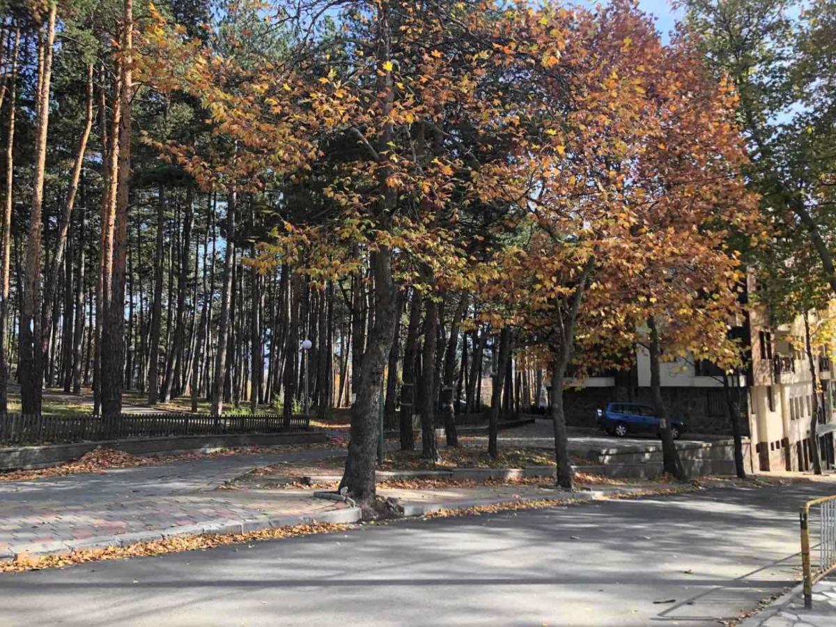 Borov Park 1 Διαμέρισμα Βέλινγκραντ Εξωτερικό φωτογραφία