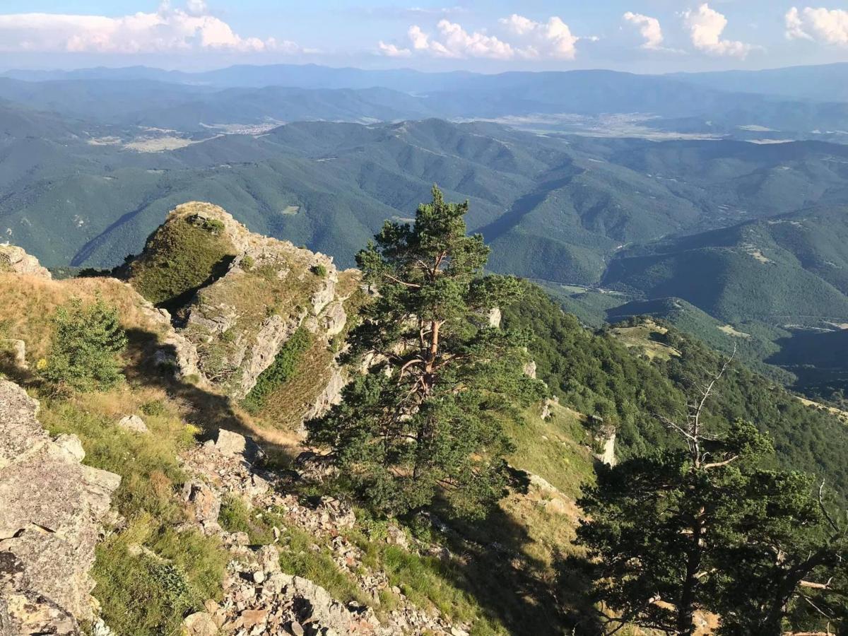 Borov Park 1 Διαμέρισμα Βέλινγκραντ Εξωτερικό φωτογραφία
